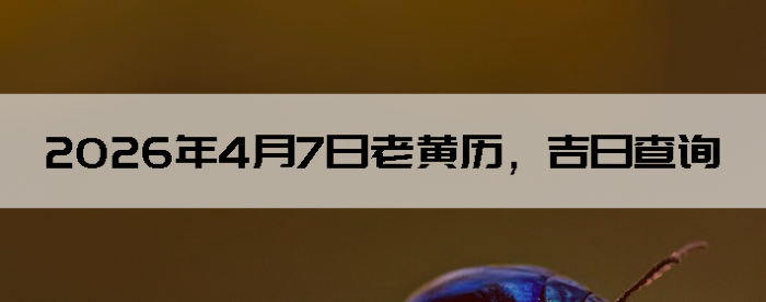 2026��4��7���ϻ��������ղ�ѯ