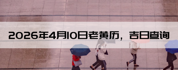 2026��4��10���ϻ��������ղ�ѯ