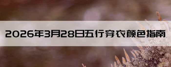 2026��3��28�����д�����ɫָ��