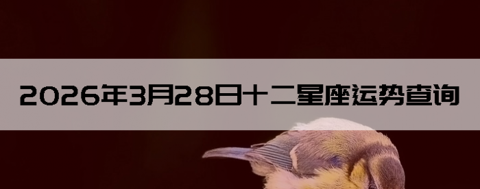 2026��3��28��ʮ���������Ʋ�ѯ