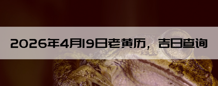 2026��4��19���ϻ��������ղ�ѯ