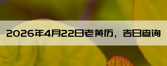 2026��4��22���ϻ��������ղ�ѯ