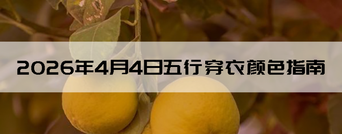 2026��4��4�����д�����ɫָ��