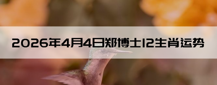 2026��4��4��֣��ʿ12��Ф����