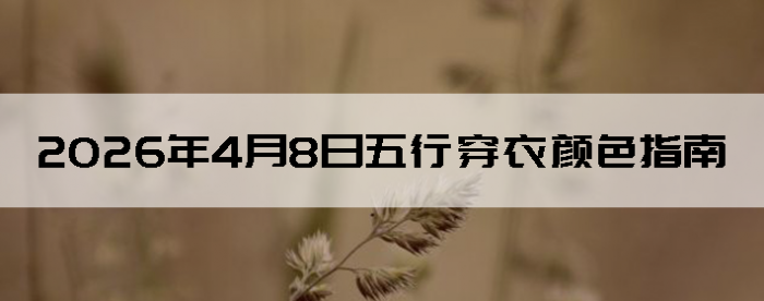 2026��4��8�����д�����ɫָ��