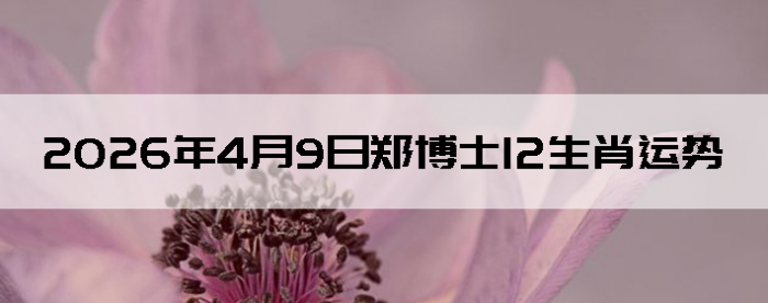 2026��4��9��֣��ʿ12��Ф����