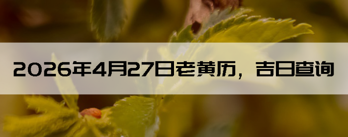 2026��4��27���ϻ��������ղ�ѯ