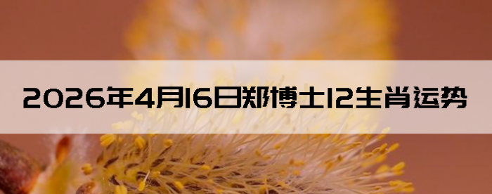 2026��4��16��֣��ʿ12��Ф����