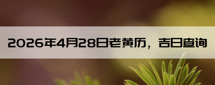 2026��4��28���ϻ��������ղ�ѯ