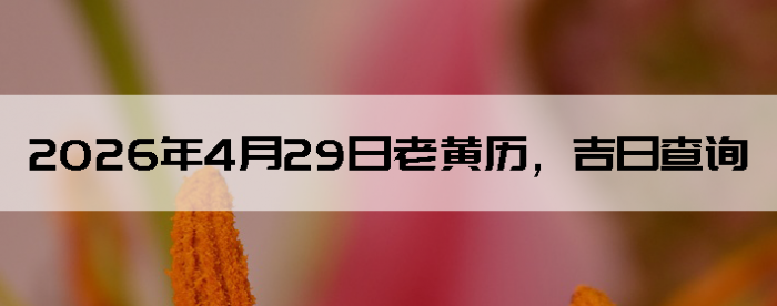 2026��4��29���ϻ��������ղ�ѯ