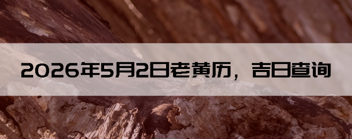 2026��5��2���ϻ��������ղ�ѯ