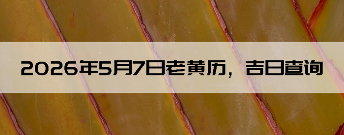 2026��5��7���ϻ��������ղ�ѯ