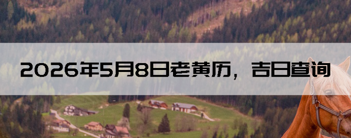 2026��5��8���ϻ��������ղ�ѯ