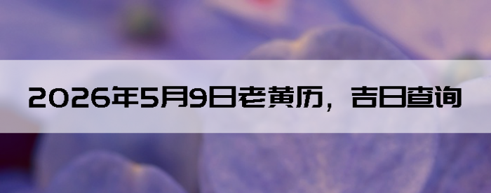 2026��5��9���ϻ��������ղ�ѯ