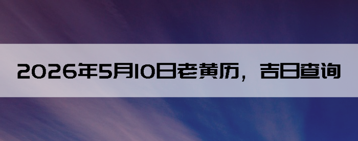 2026��5��10���ϻ��������ղ�ѯ