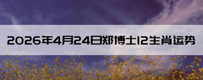 2026��4��24��֣��ʿ12��Ф����