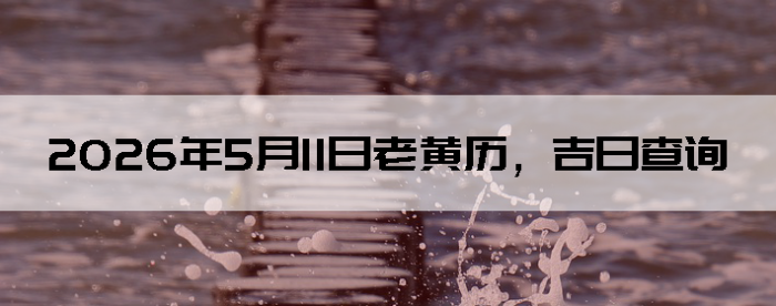 2026��5��11���ϻ��������ղ�ѯ