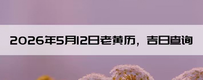 2026��5��12���ϻ��������ղ�ѯ