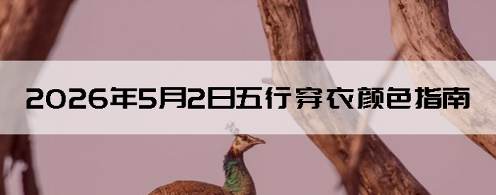 2026��5��2�����д�����ɫָ��