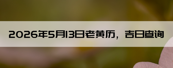 2026��5��13���ϻ��������ղ�ѯ