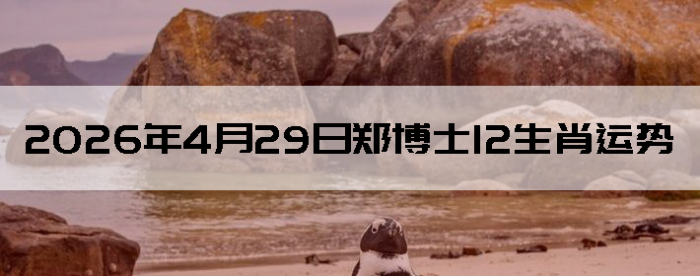 2026��4��29��֣��ʿ12��Ф����