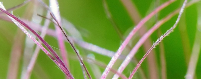 ���Ƶ�Ӳ��������ʲô���ļ���