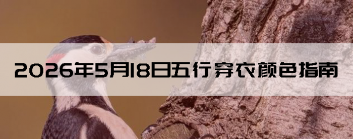 2026��5��18�����д�����ɫָ��