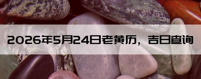 2026��5��24���ϻ��������ղ�ѯ