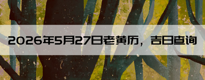2026��5��27���ϻ��������ղ�ѯ