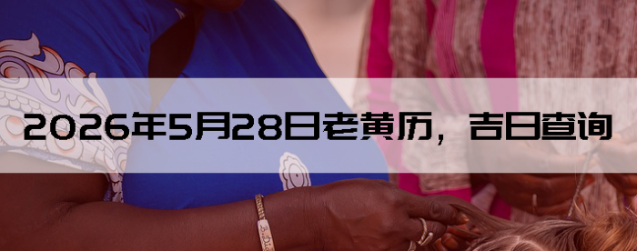 2026��5��28���ϻ��������ղ�ѯ