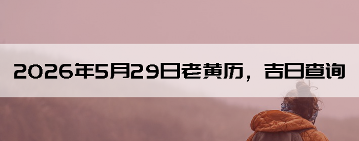 2026��5��29���ϻ��������ղ�ѯ