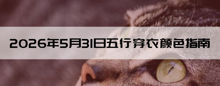 2026��5��31�����д�����ɫָ��