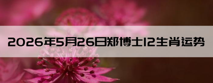 2026��5��26��֣��ʿ12��Ф����