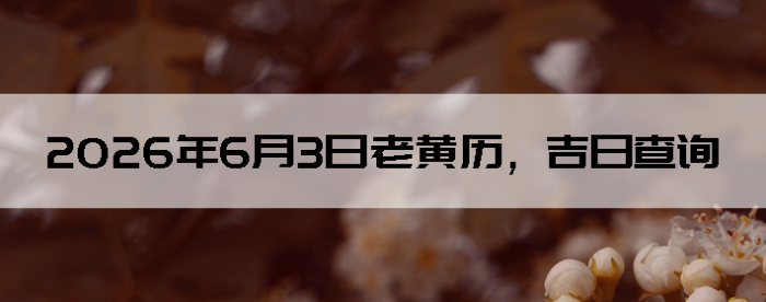 2026��6��3���ϻ��������ղ�ѯ
