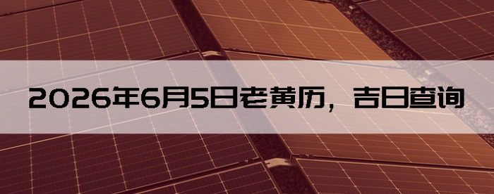 2026��6��5���ϻ��������ղ�ѯ