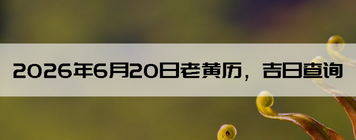 2026��6��20���ϻ��������ղ�ѯ