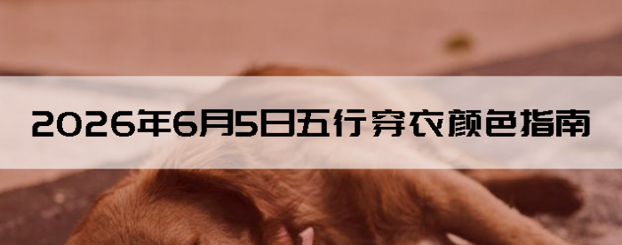 2026��6��5�����д�����ɫָ��