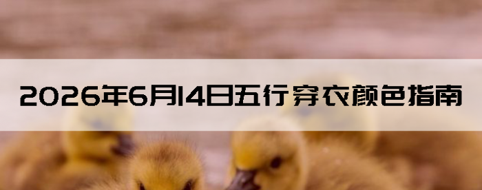 2026��6��14�����д�����ɫָ��