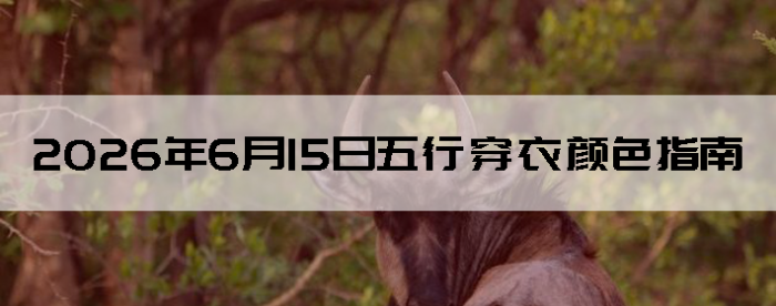 2026��6��15�����д�����ɫָ��