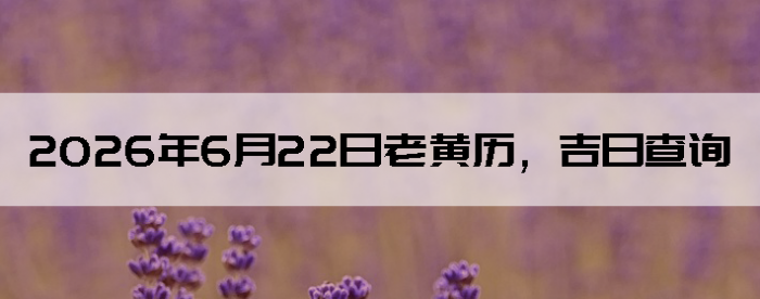 2026��6��22���ϻ��������ղ�ѯ
