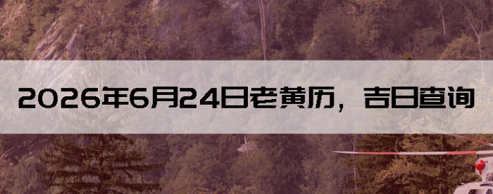 2026��6��24���ϻ��������ղ�ѯ