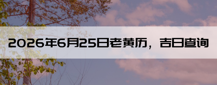 2026��6��25���ϻ��������ղ�ѯ