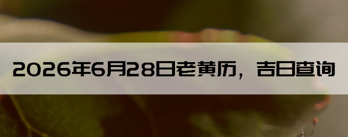 2026��6��28���ϻ��������ղ�ѯ