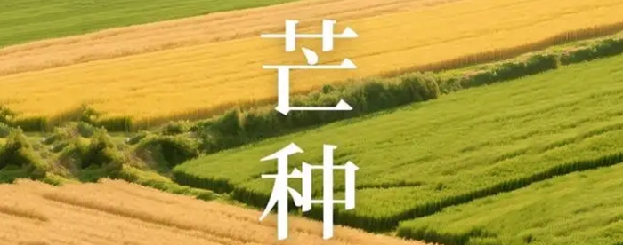â�ֽ��������С������������