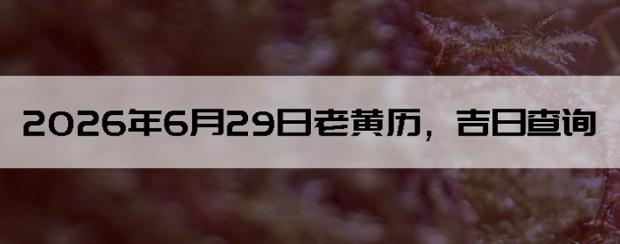 2026��6��29���ϻ��������ղ�ѯ