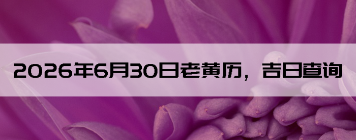 2026��6��30���ϻ��������ղ�ѯ