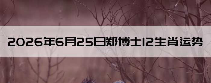 2026��6��25��֣��ʿ12��Ф����