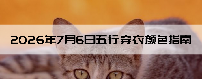 2026��7��6�����д�����ɫָ��