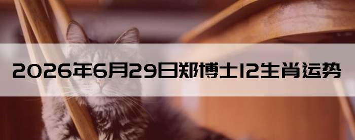 2026��6��29��֣��ʿ12��Ф����