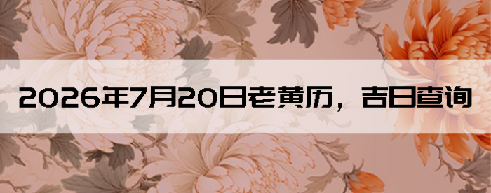 2026��7��20���ϻ��������ղ�ѯ